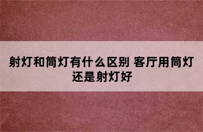 射灯和筒灯有什么区别 客厅用筒灯还是射灯好